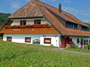 Luscious Apartment in Rickenbach with Free WiFi
